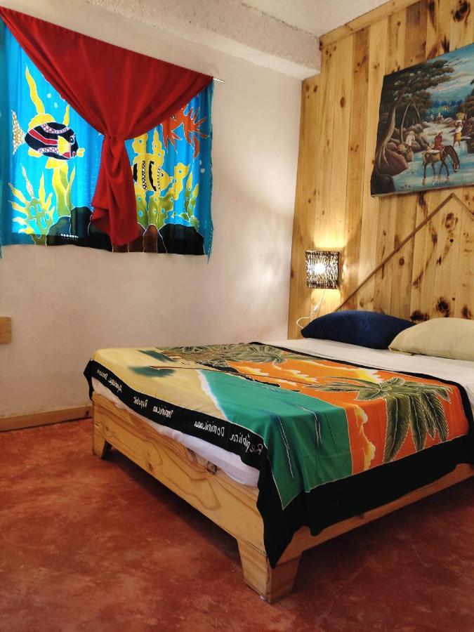 Hostel La Ballena Backpacker 라스갈레라스 외부 사진