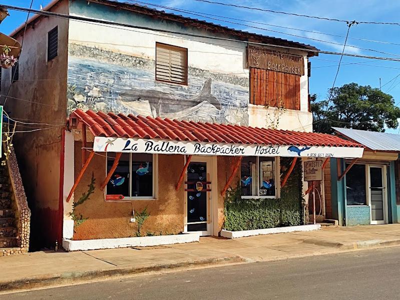Hostel La Ballena Backpacker 라스갈레라스 외부 사진