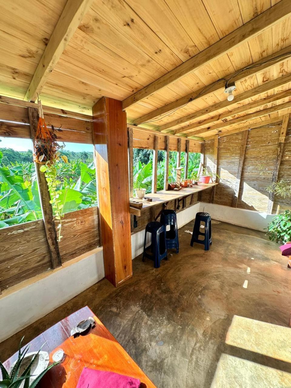 Hostel La Ballena Backpacker 라스갈레라스 외부 사진