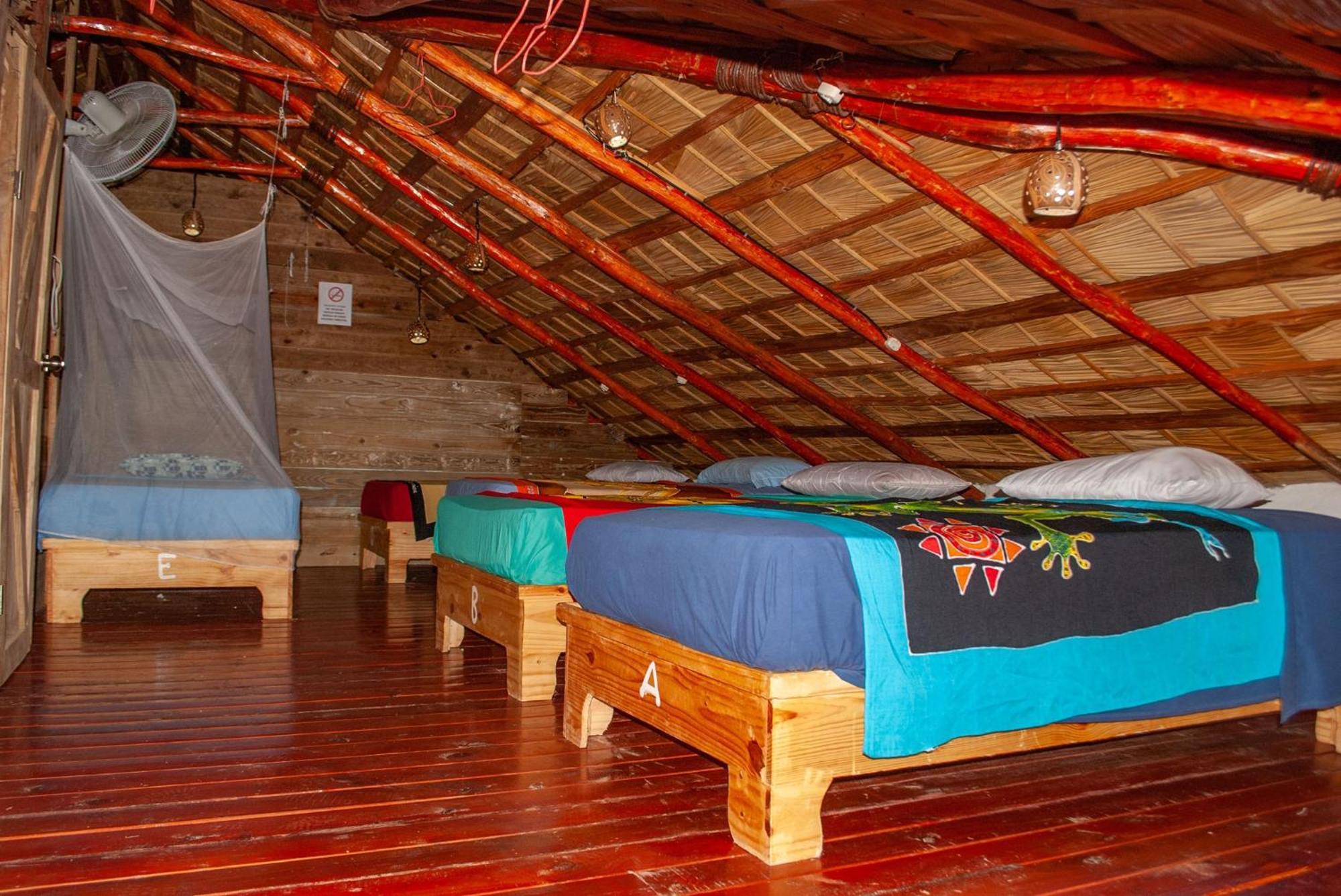 Hostel La Ballena Backpacker 라스갈레라스 외부 사진