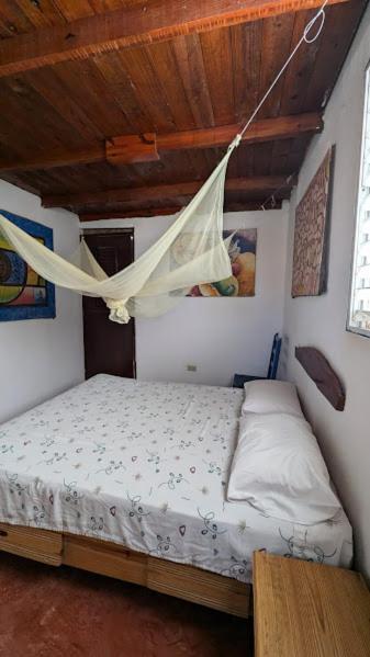 Hostel La Ballena Backpacker 라스갈레라스 외부 사진
