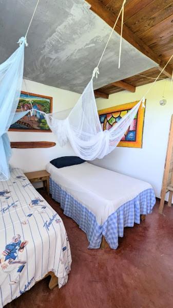 Hostel La Ballena Backpacker 라스갈레라스 외부 사진